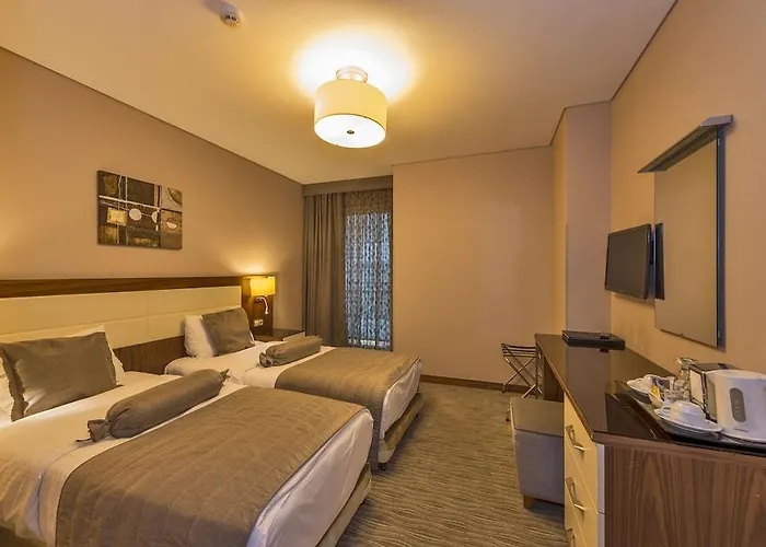 호텔 The Meretto Old 3*