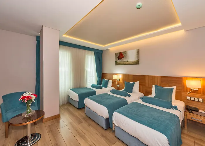 The Meretto Old 호텔 3*